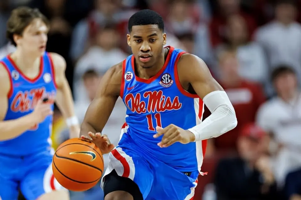 他也是有机, src, cn